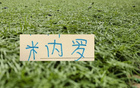 11号米内罗再次更新训练动态，去年他在14场联赛中狂进8球，成为申花队内的关键射手，如今他正全力备战新赛季