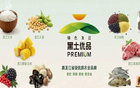 东北超倒计时2天｜“黑土优品”联动赛事双IP赋能龙江发展