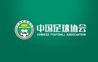 裁判评议：郑铮应被红牌罚下，海牛进球有效